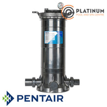 Pentair FreeFlo 75 Sft  Cardtridge Filter Complete | 5 Year Warranty on Tank and 1 Year on all other parts