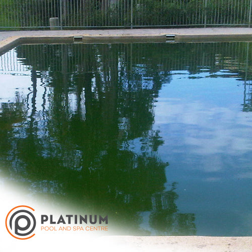 Green Pool Clean up Service | Platinum Pool Centre - Gold Coast