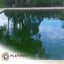 Green Pool Clean Up Service - Onsite Inspection Service