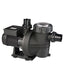 Davey Whisper W750 0.75HP Pool Pump - 2 Year Warranty | 40mm Intake / 40mm Discharge